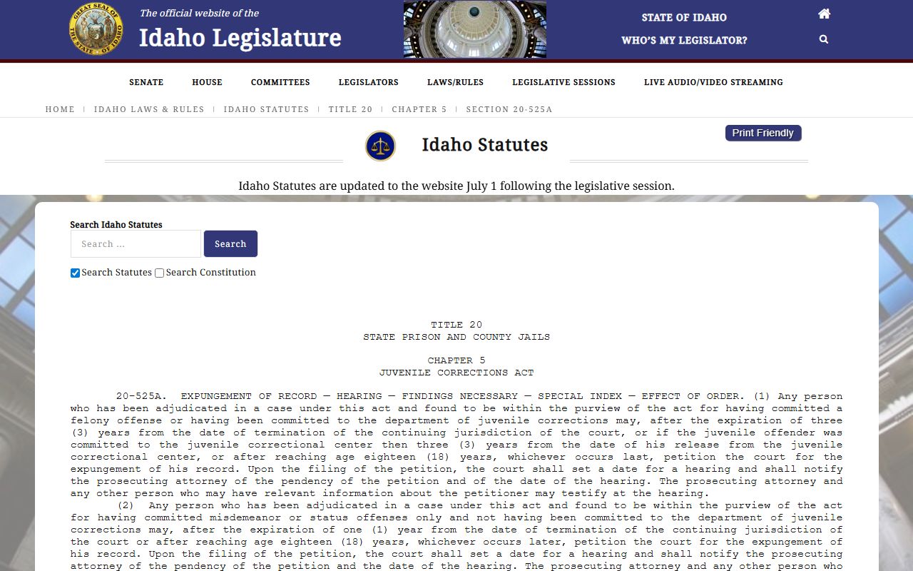 Minidoka County criminal court records juvenile expungement statute