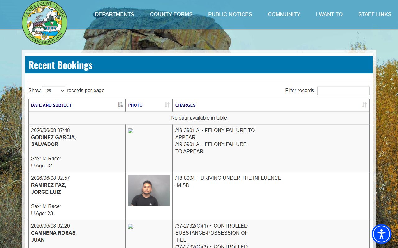 Minidoka County inmate records recent jail bookings